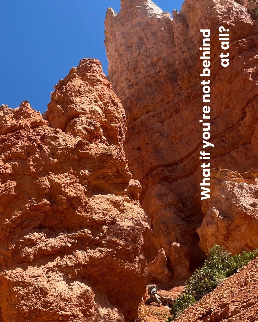 I spent years feeling like I was running to catch up to some invisible timeline of achievement.
The greatest freedom came when I realized the timeline itself was invented.
I believe that you're exactly where you need to be, right on time.
#Divi