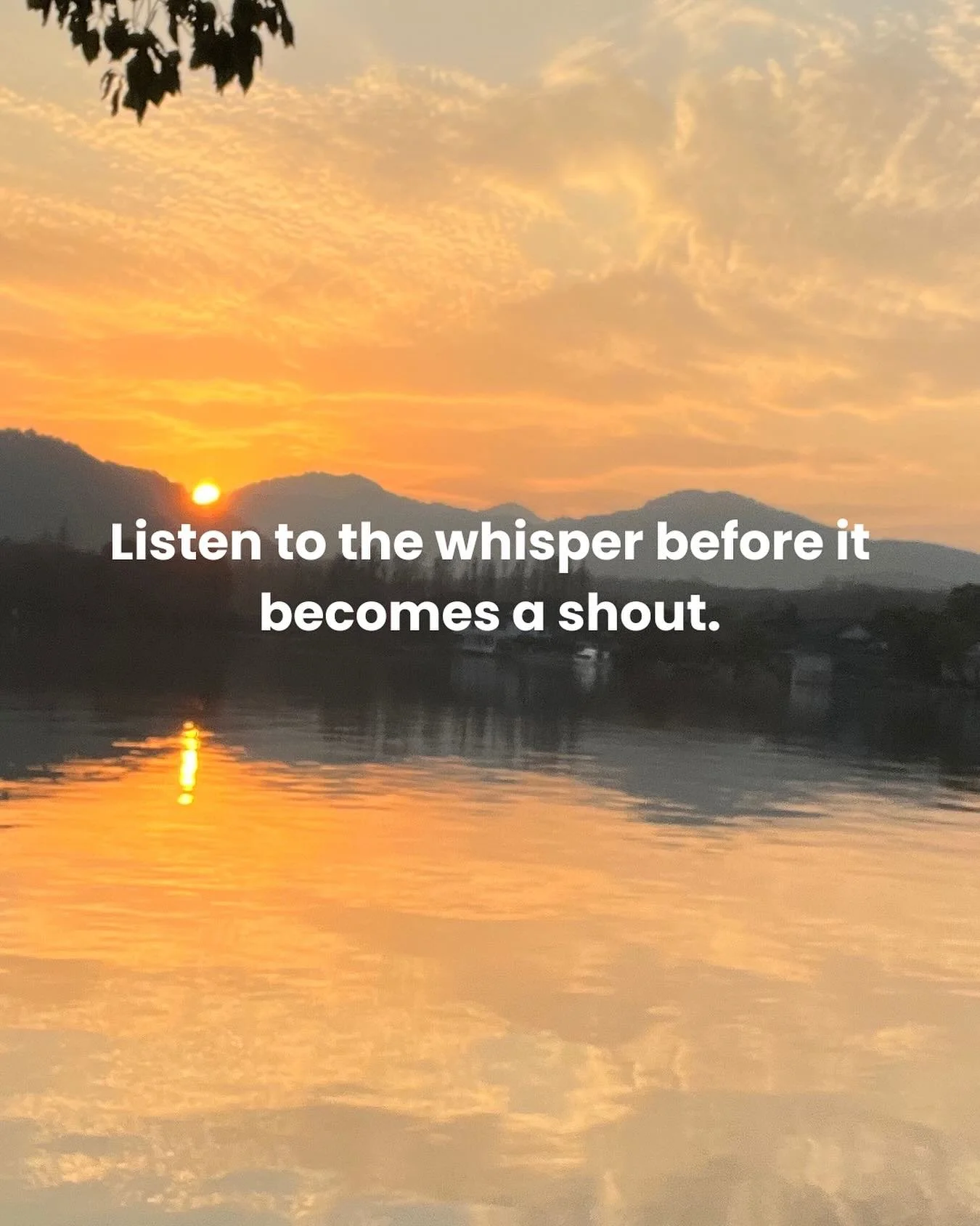Our bodies speak to us constantly in subtle sensations before they‘re forced to use the language of illness or breakdown.
My greatest shifts came when I finally started listening to the whispers instead of waiting for the shouts.
What small