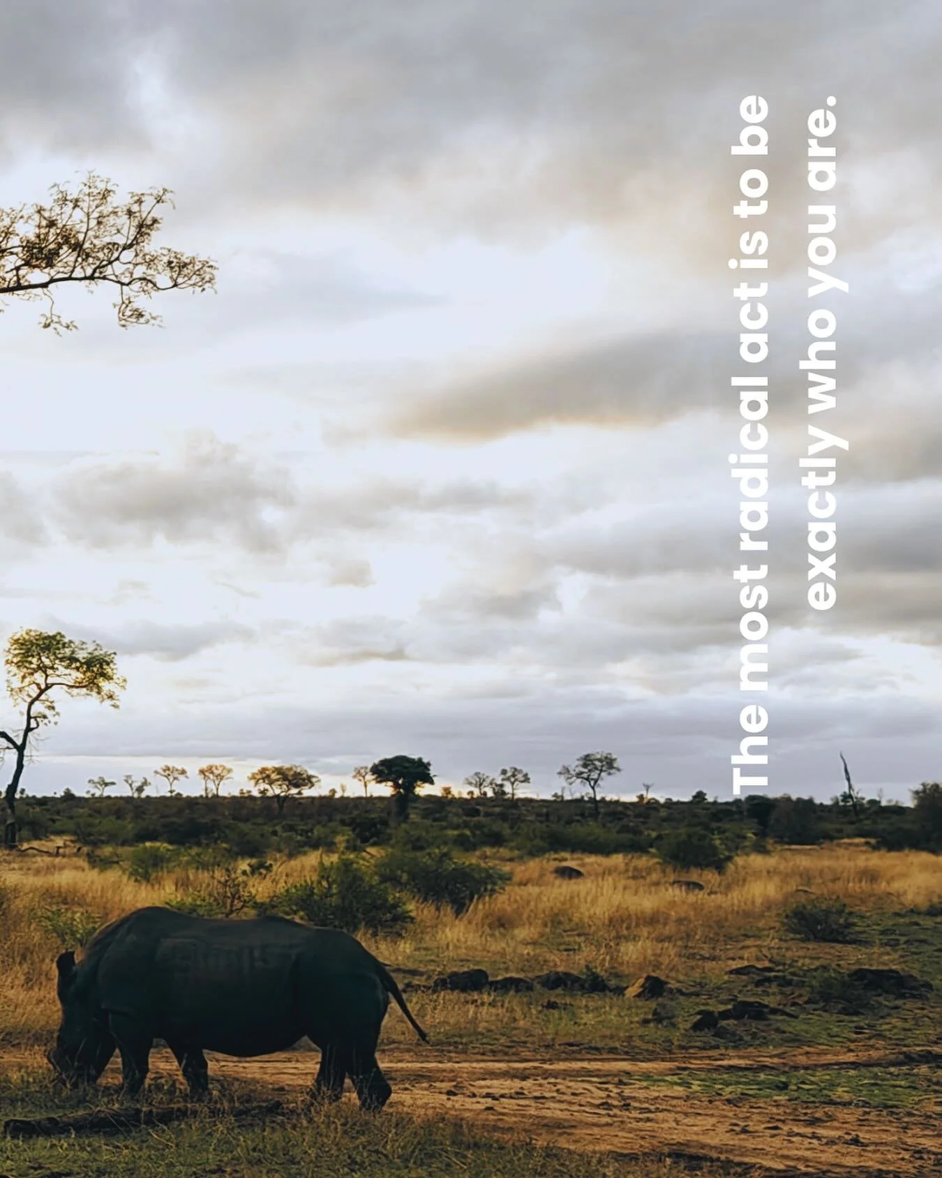 In a world of endless optimization, simply being your unfiltered self becomes revolutionary. 

I spent years polishing my presentation until I realized the power was in the raw, unedited truth of who I am. 

What is the one small way you to drop the 