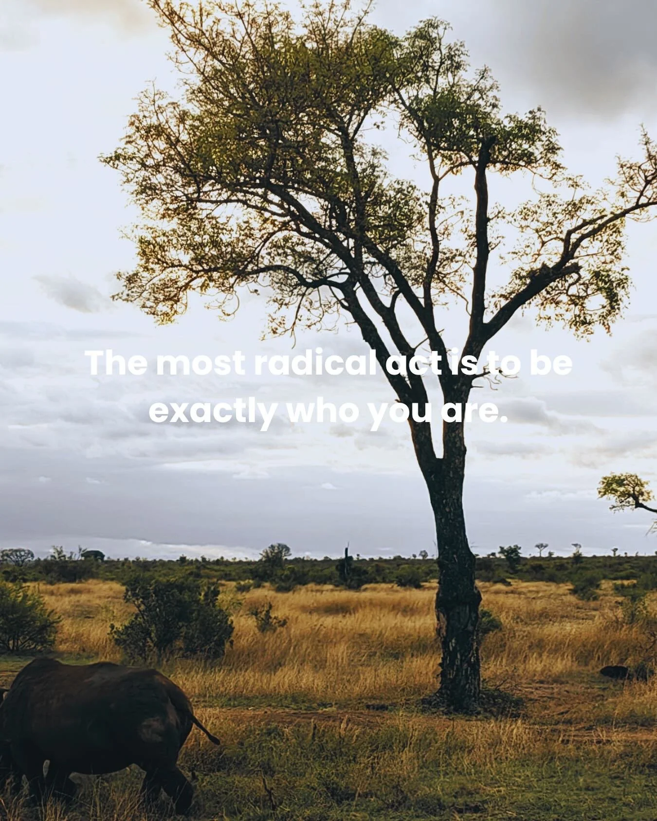 In a world of endless optimization, simply being your unfiltered self becomes revolutionary. 

I spent years polishing my presentation until I realized the power was in the raw, unedited truth of who I am. 

What is the one small way you to drop the 