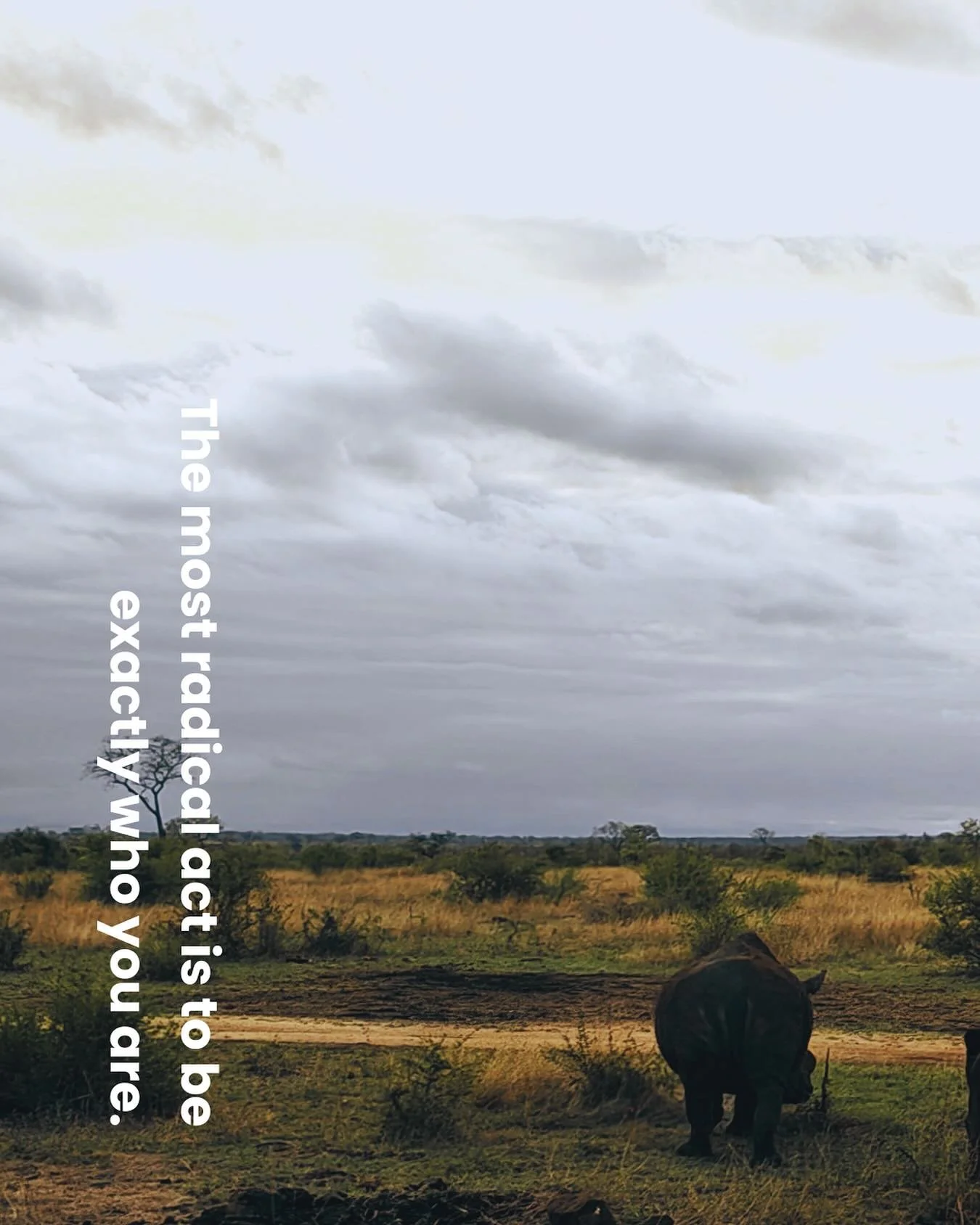 In a world of endless optimization, simply being your unfiltered self becomes revolutionary. 

I spent years polishing my presentation until I realized the power was in the raw, unedited truth of who I am. 

What is the one small way you to drop the 