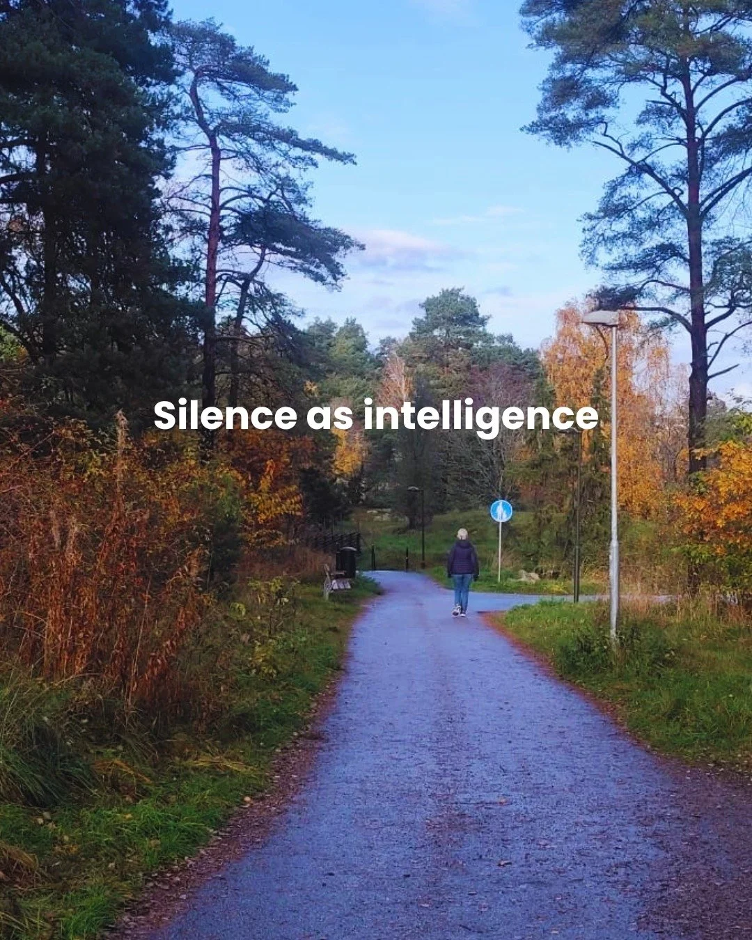 Silence as intelligence

AI is not replacing you. It is revealing what you&rsquo;ve been avoiding noticing.

In nature, silence is not empty, it is structured.

But in human life, we often treat silence as absence rather than information.

We fill ev
