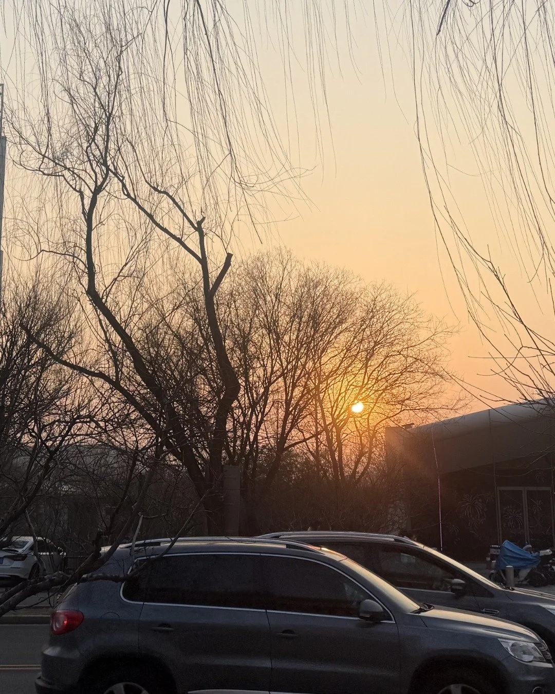 Look! That's the only SUN we have.

Nature does not present infinite choices. It presents constraints. And within constraints, clarity becomes natural.

#HumanEdge
#ConsciousFuture
#AIandHumanity
#DecisionMaking
#ClarityOverNoise
#HumanThinking
#Digi