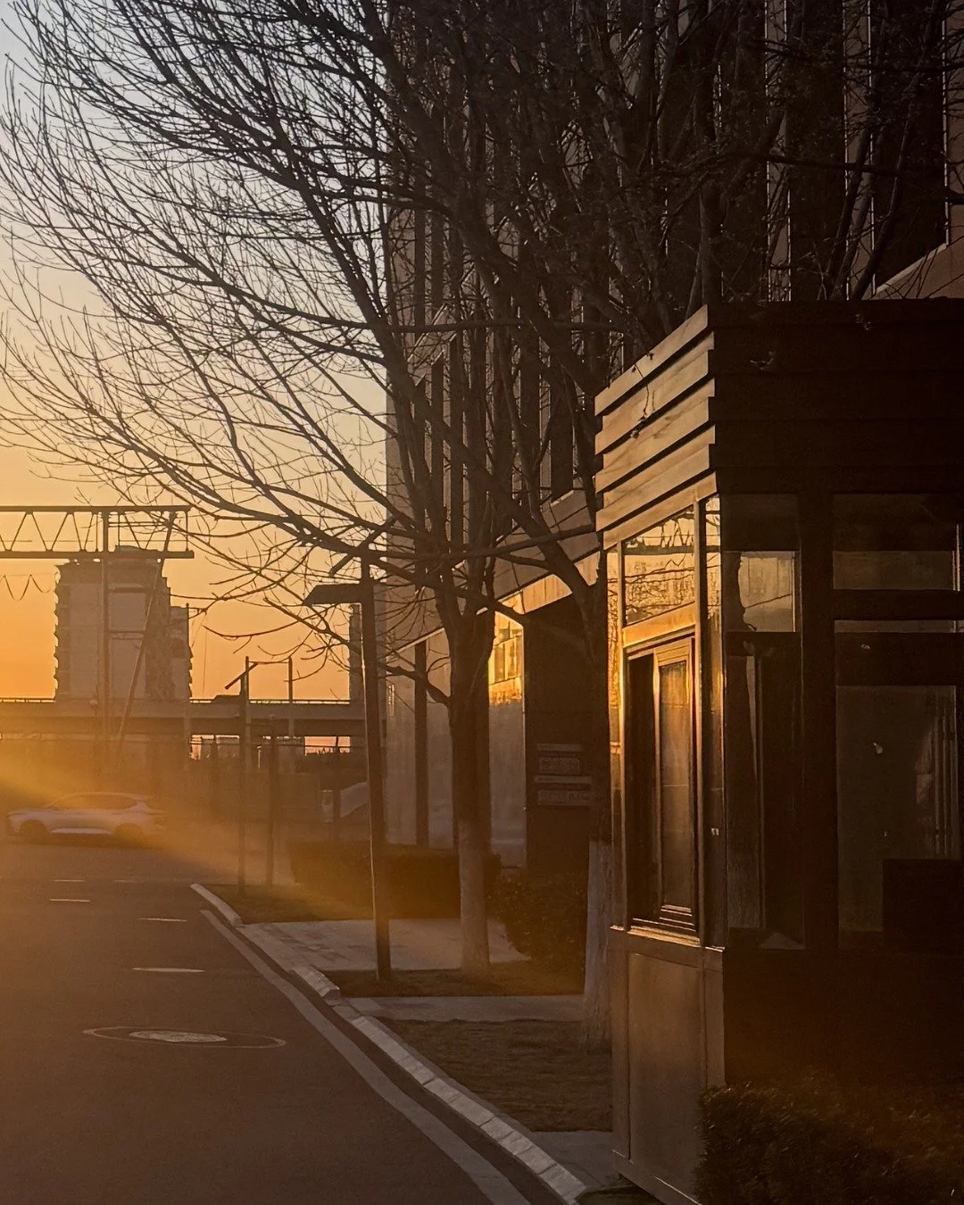 Overthinking feels like thinking deeply. But often it is just thinking repeatedly in circles.

#youarewhatyouthink #thinkeranddreamer #moderncityliving #sunsets_oftheworld #clarityofmind