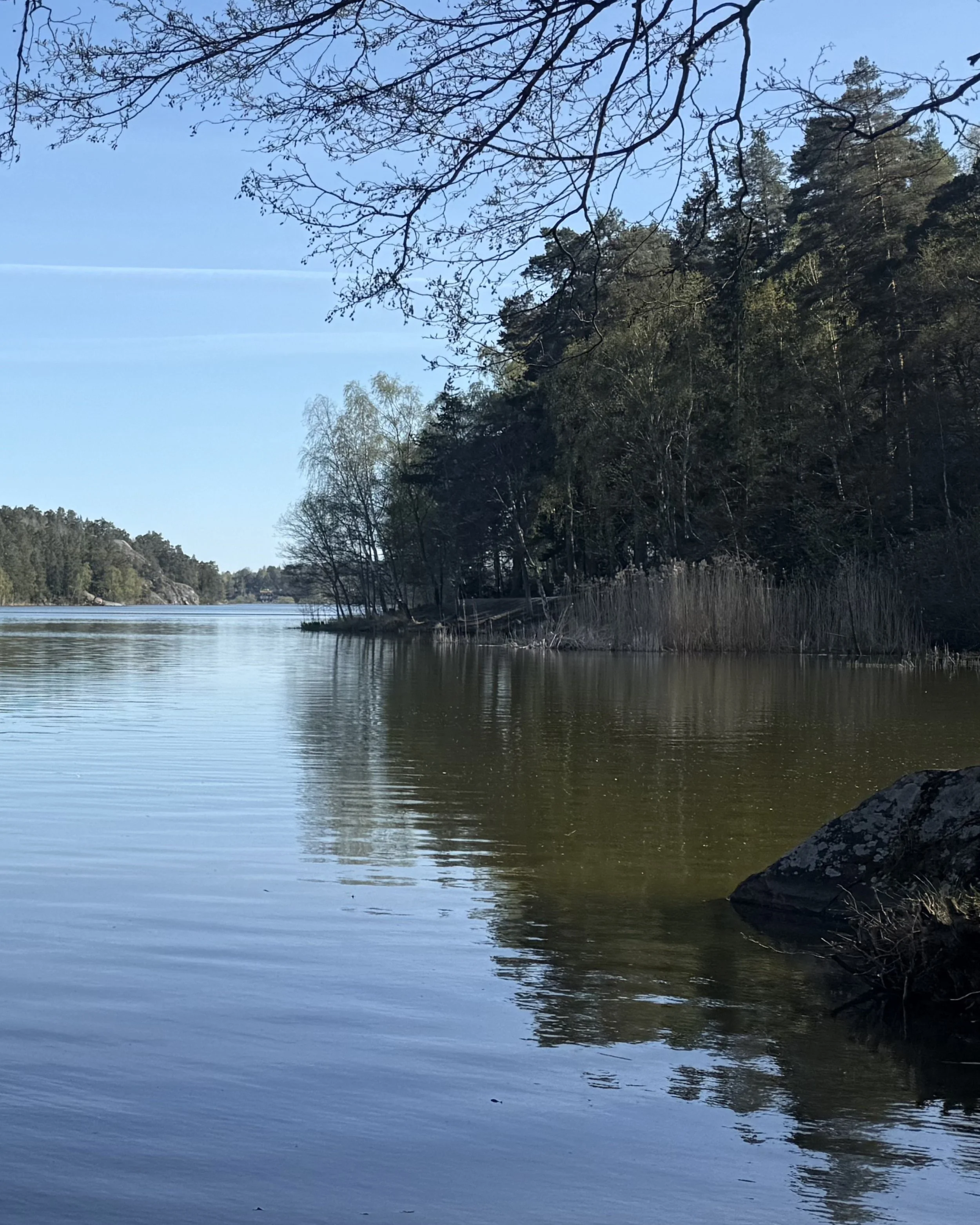 I spent the morning watching the horizon, noticing how the world moves at its own stubborn, unhurried pace, while my feed moves at supersonic speed. We are living in a speed illusion flooded with information but starved for time to let it settle.

Re