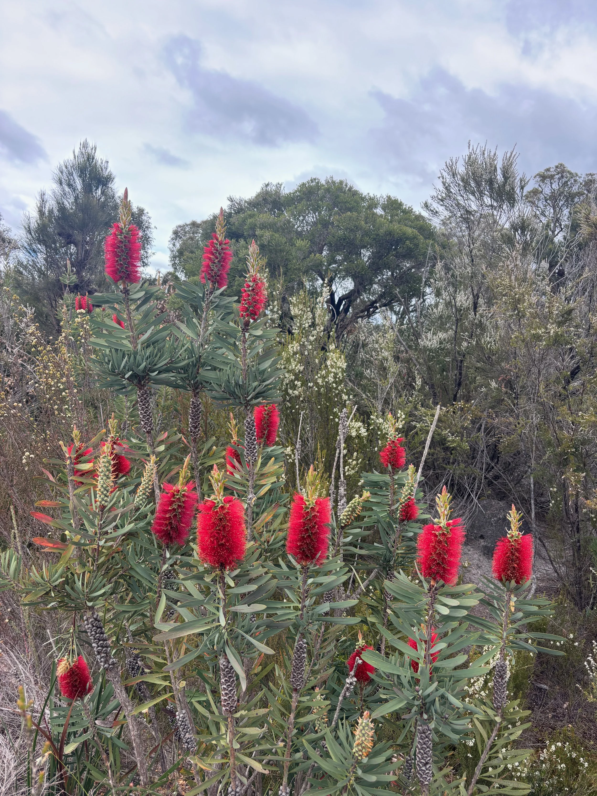 Better Streets Board for 2025–26