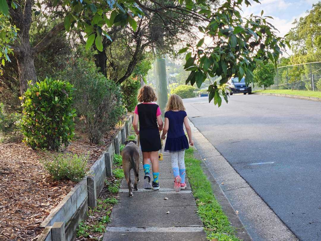 We've made our submission. Now it's time for the NSW Government to act
