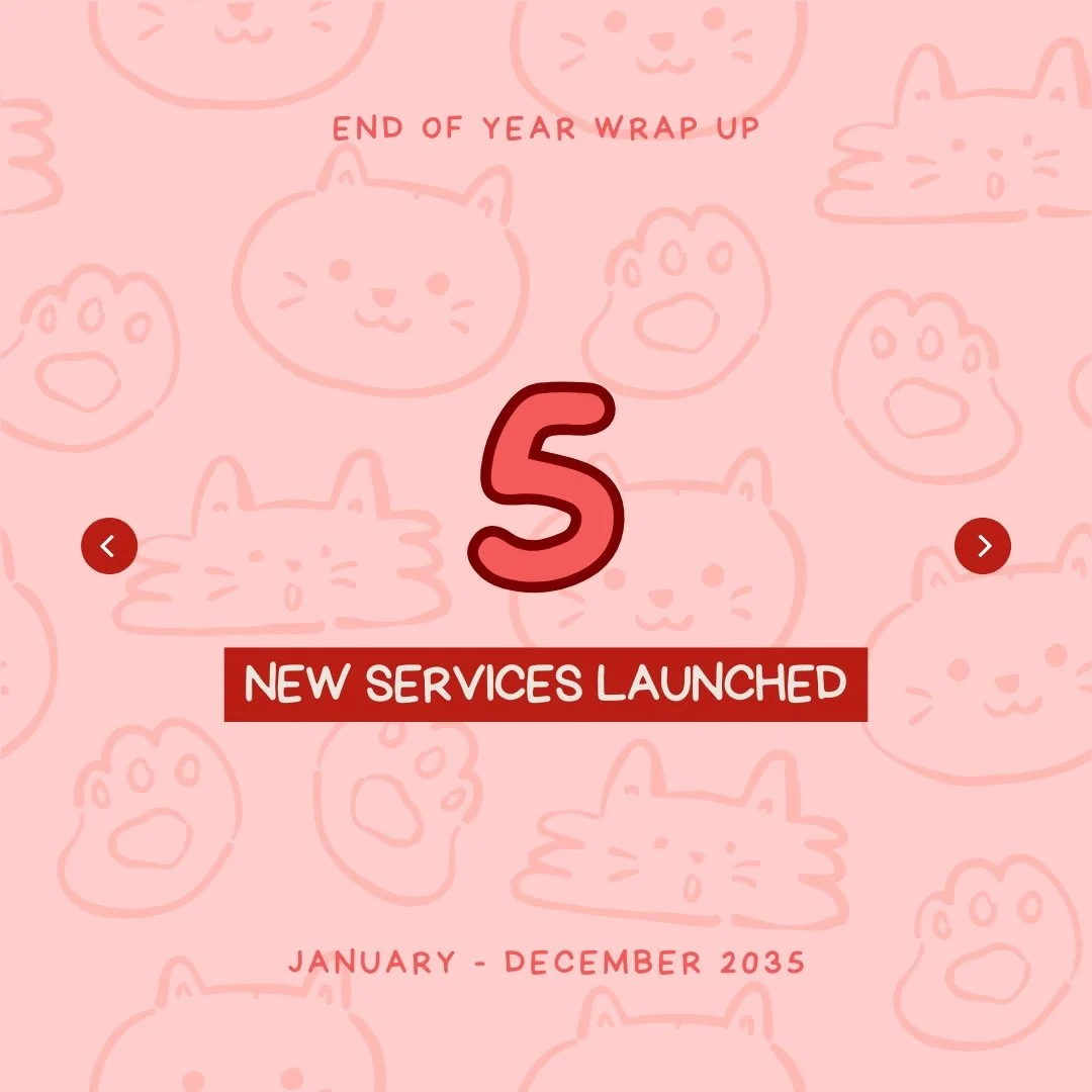 Our dearest kitties ₍^. .^₎⟆

We don&rsquo;t say this enough, but all of you really mean more to us than you know. Every kitties came into our  life in different moments, for different reasons, yet somehow y&rsquo;all became part of our everyday stre