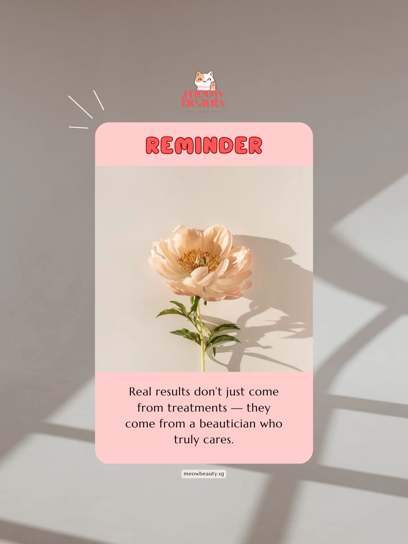 𐙚⋆&deg;🦢｡⋆♡

TRUE STORY &hearts;️🌷🫧🤍