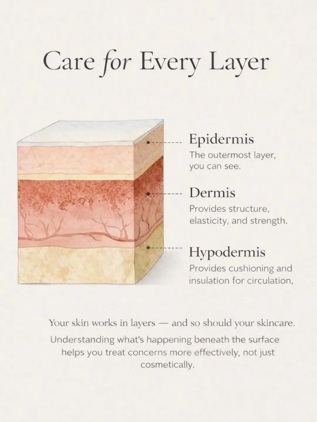 Your skin isn&rsquo;t just &ldquo;skin&rdquo; &mdash; it&rsquo;s layers working together 🤍🌷

From the epidermis (the protector)
To the dermis (the powerhouse)
To the hypodermis (the cushion)

Each layer has a role. And when one is weak, the whole s