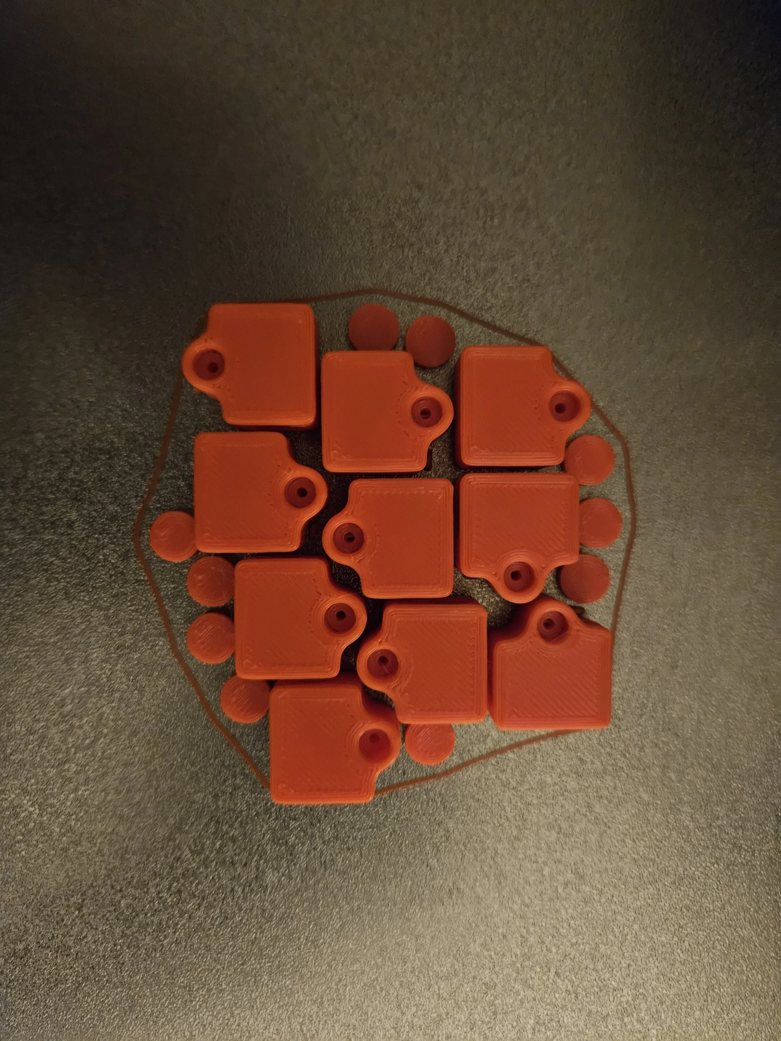 20230909_213653.jpg
