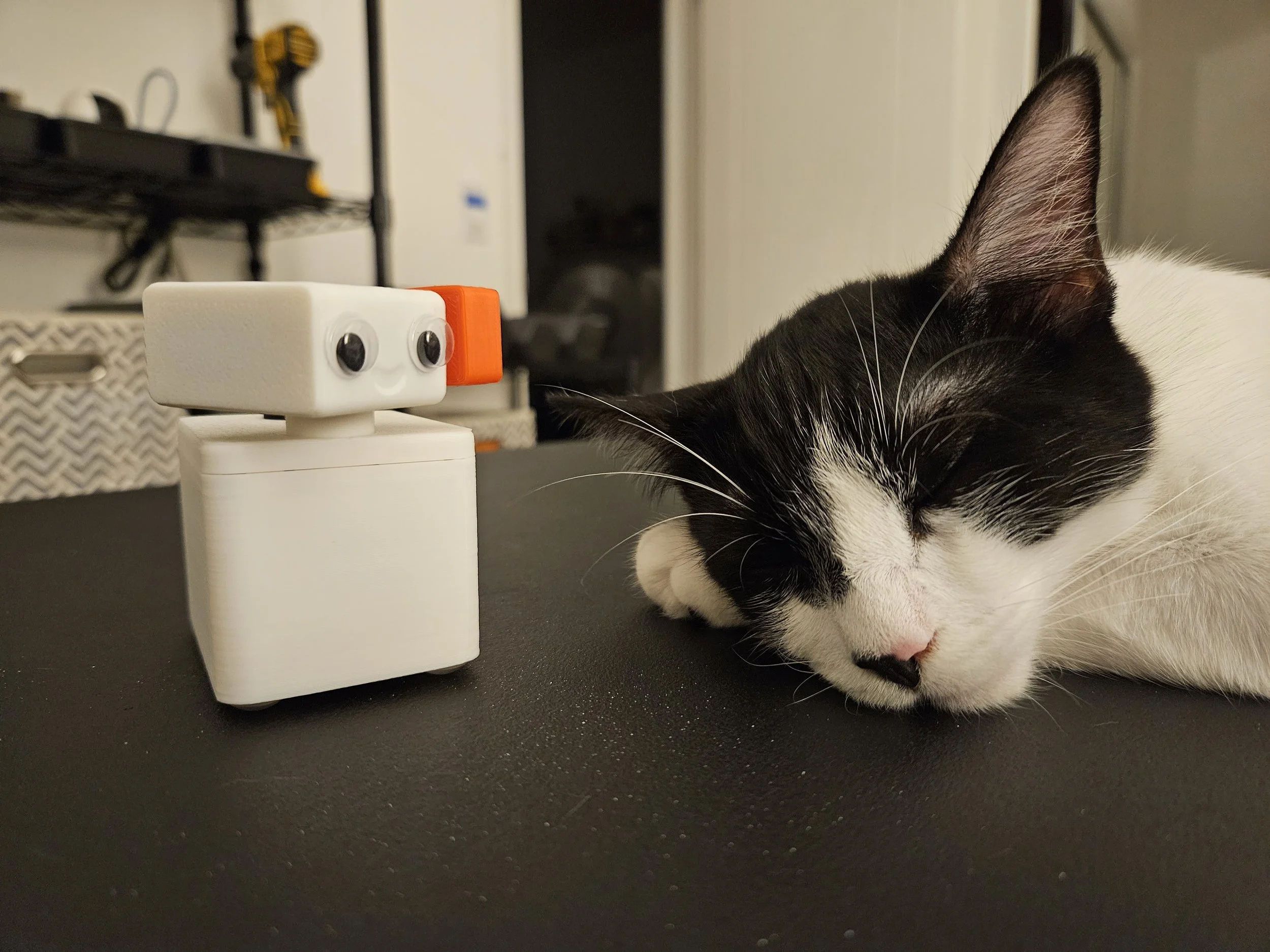 20230917_021303.jpg