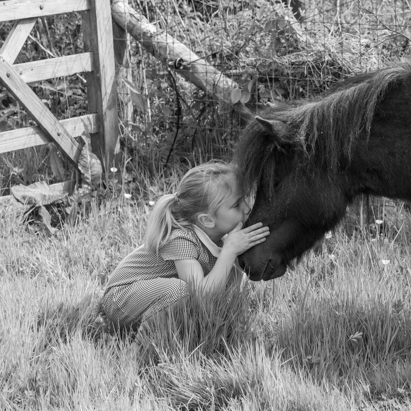 A young girl kneeling in grass with her hands on a horse's face, touching noses in an outdoor setting.