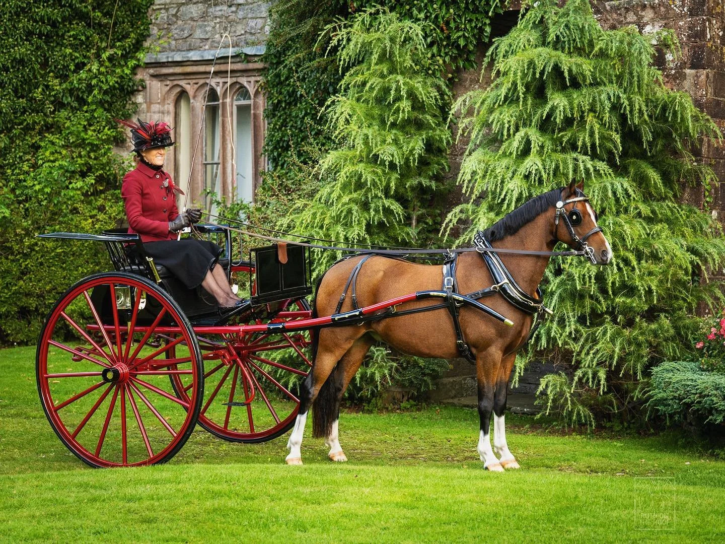 A woman in vintage attire sits in a red horse-drawn carriage with a brown horse on a green lawn with trees and a stone building in the background.