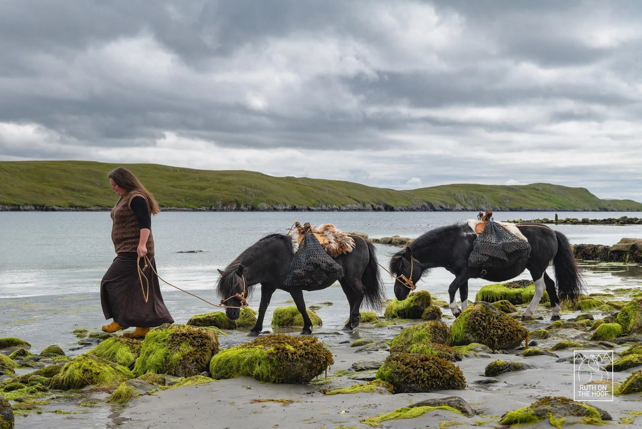A woman walking on moss-covered rocks along the shoreline with two small black horses, each carrying packs and bags, on a cloudy day near a body of water with green rolling hills in the background.