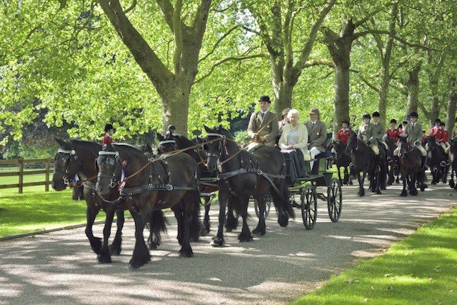 People riding in a horse-drawn carriage on a tree-lined path, with a group of people on horseback in the background.