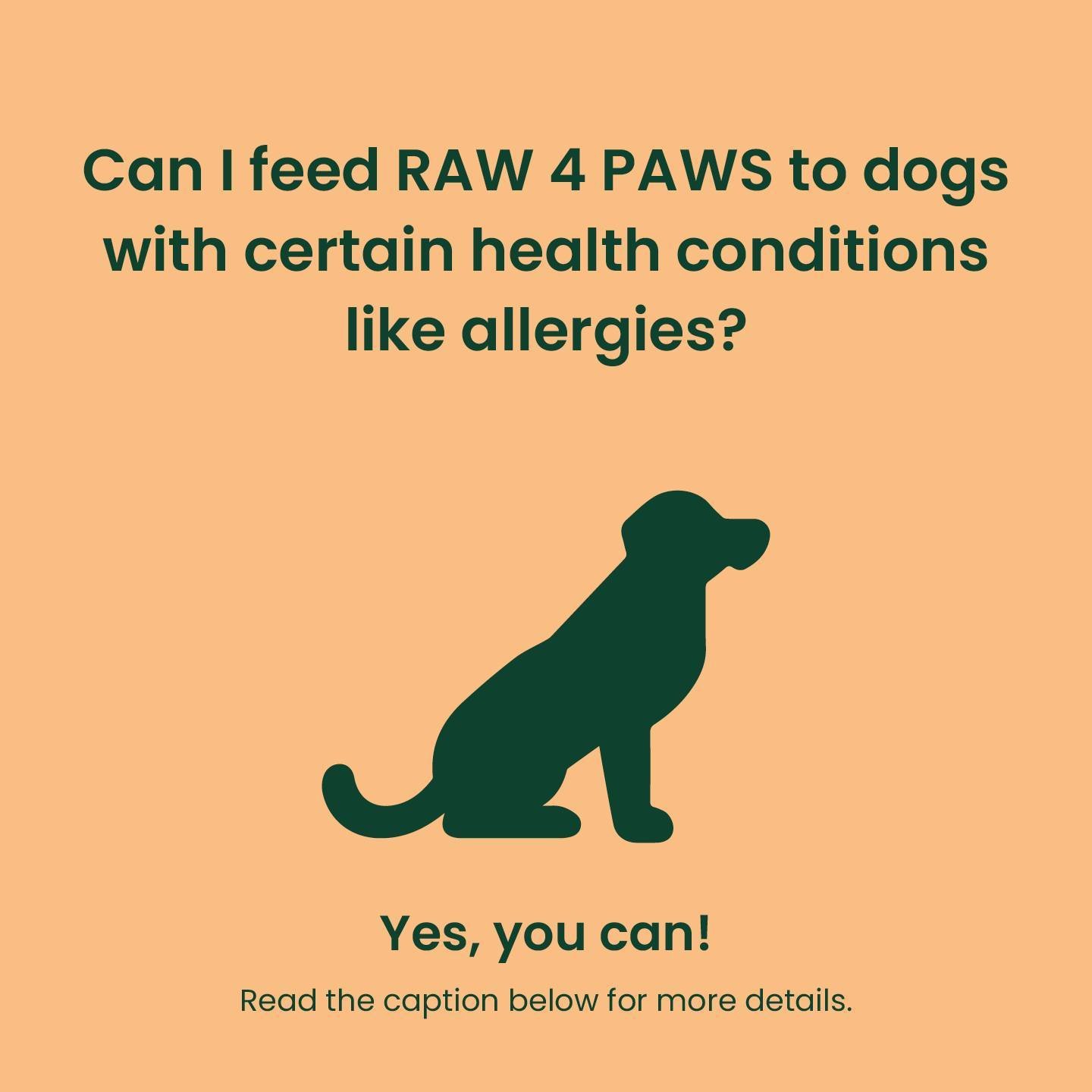 Since RAW 4 PAWS only contains one animal protein per variety, i.e. chicken only contains chicken meat, bone and organs meats, it is easy to single out and avoid the protein/meat your pet is reacting to 🐕 

Simply change to other varieties of the RA