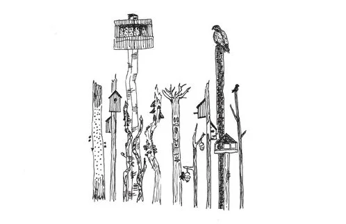 Biodiversitetsplan naturformidling Renosyd