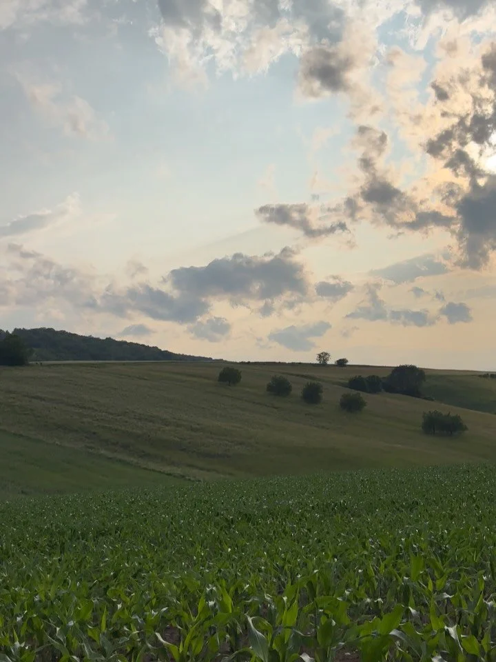 thank you June - hello July 🪄