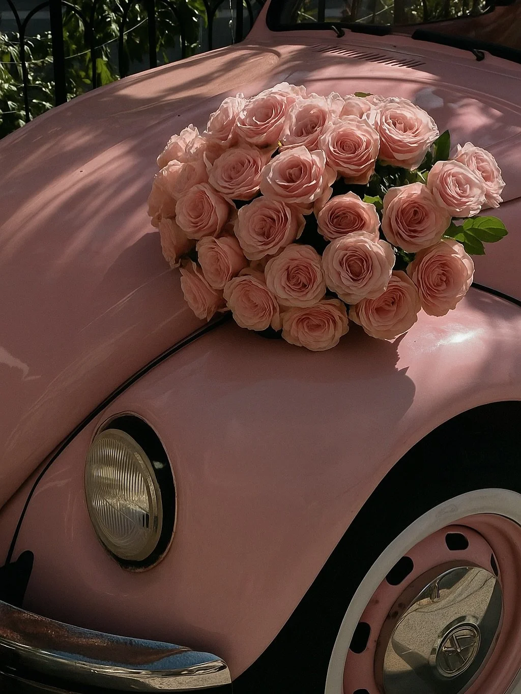 Pink diaries 🎀