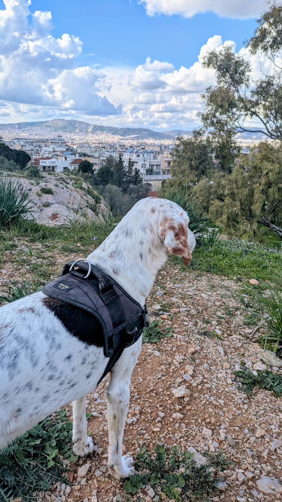 How I Find Creativity in Everyday Athens.