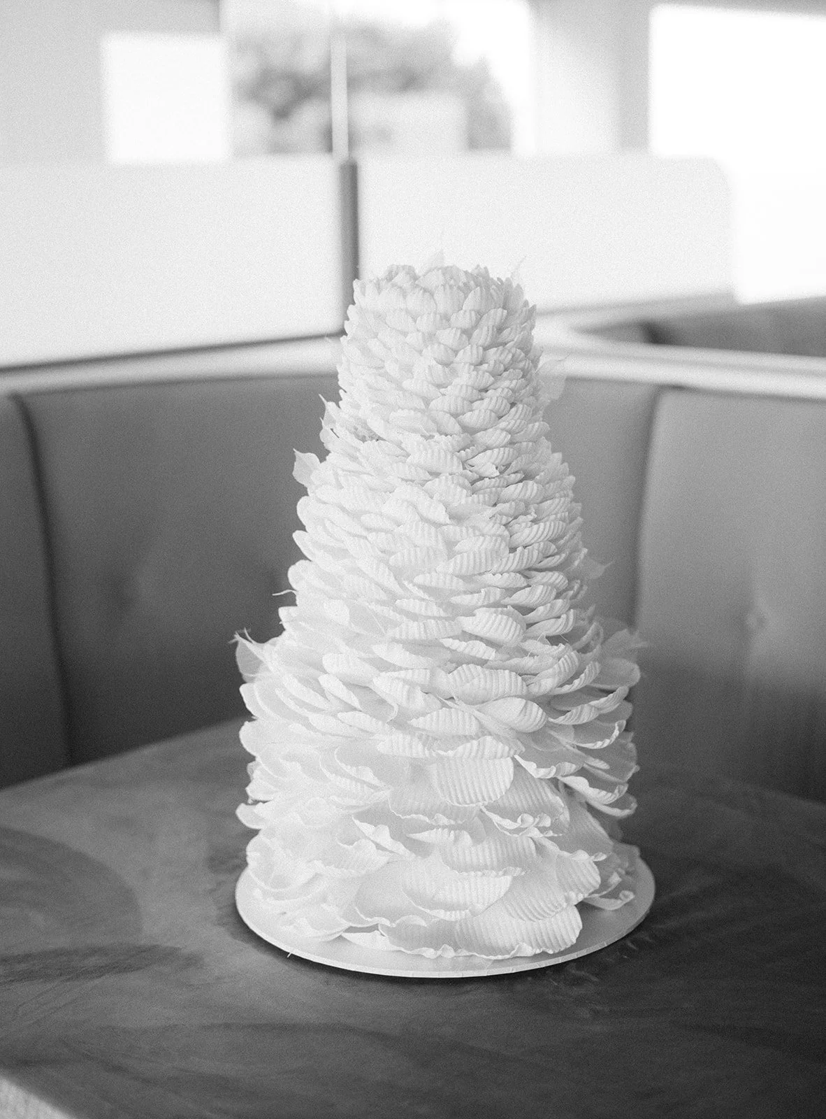 Sara _26 Sam-369.jpg