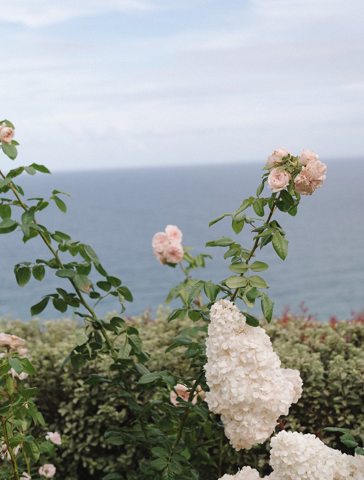 Sara _26 Sam-201.jpg