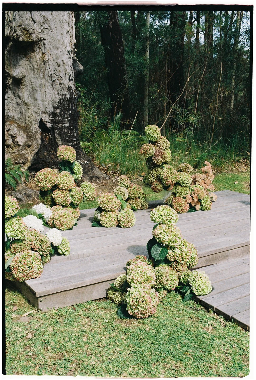 Chanel_26Andrew-Film Photos-032.jpg