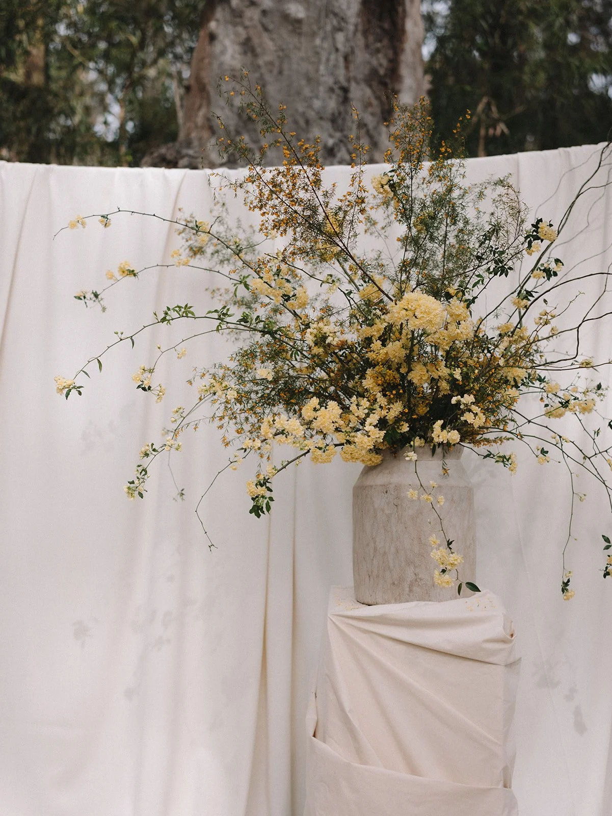 Annie _26 Karl-11.jpg