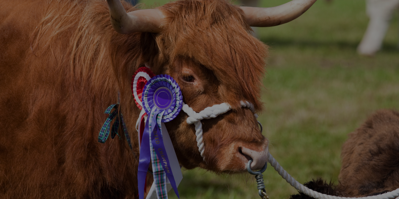 Mill Architects’ Richard Webb joins the Board of Scottish Agritourism