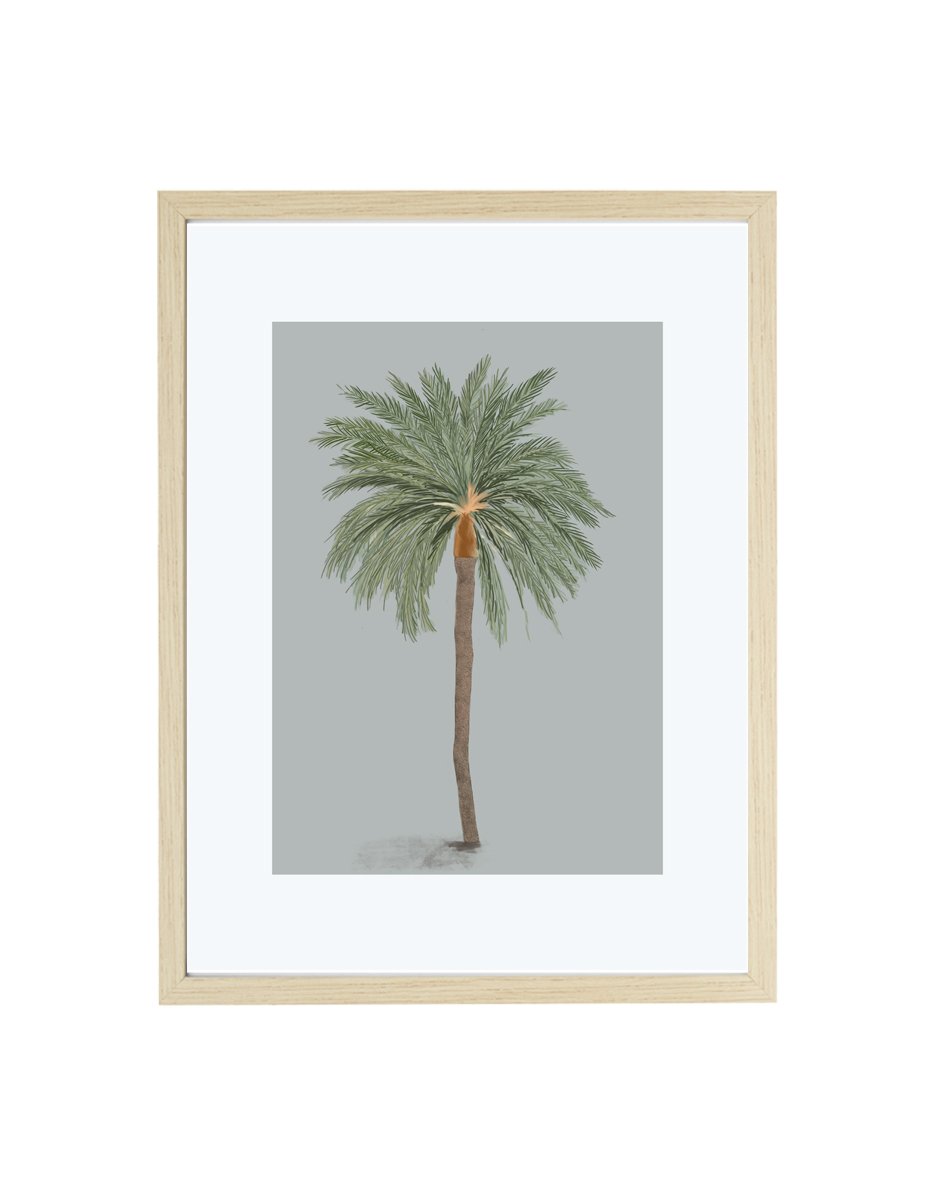 Palm tree