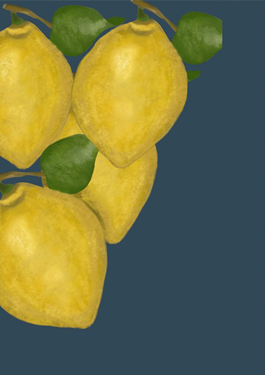citrons gauches.jpg
