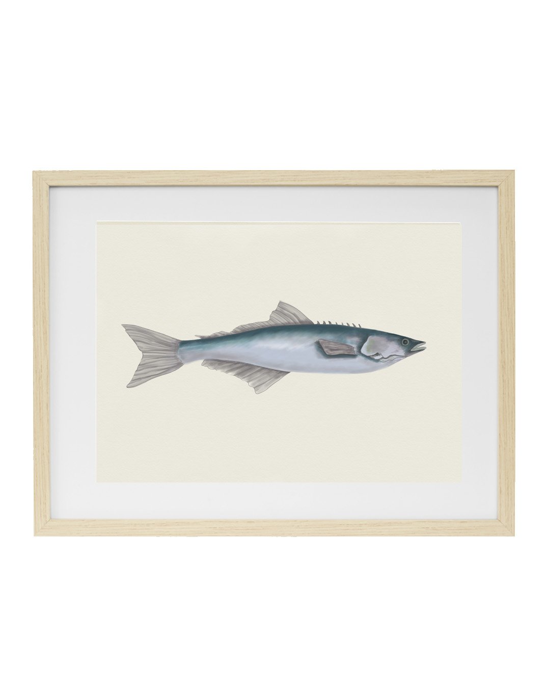 Fish