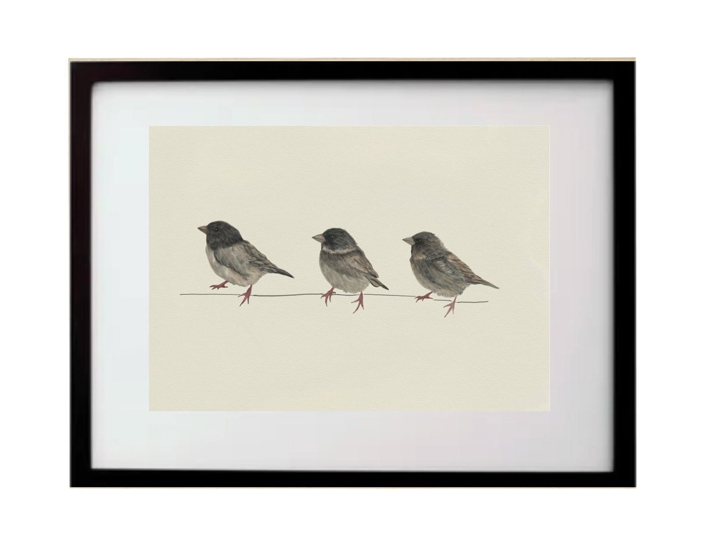 CADRE+noir+sparrows.jpg