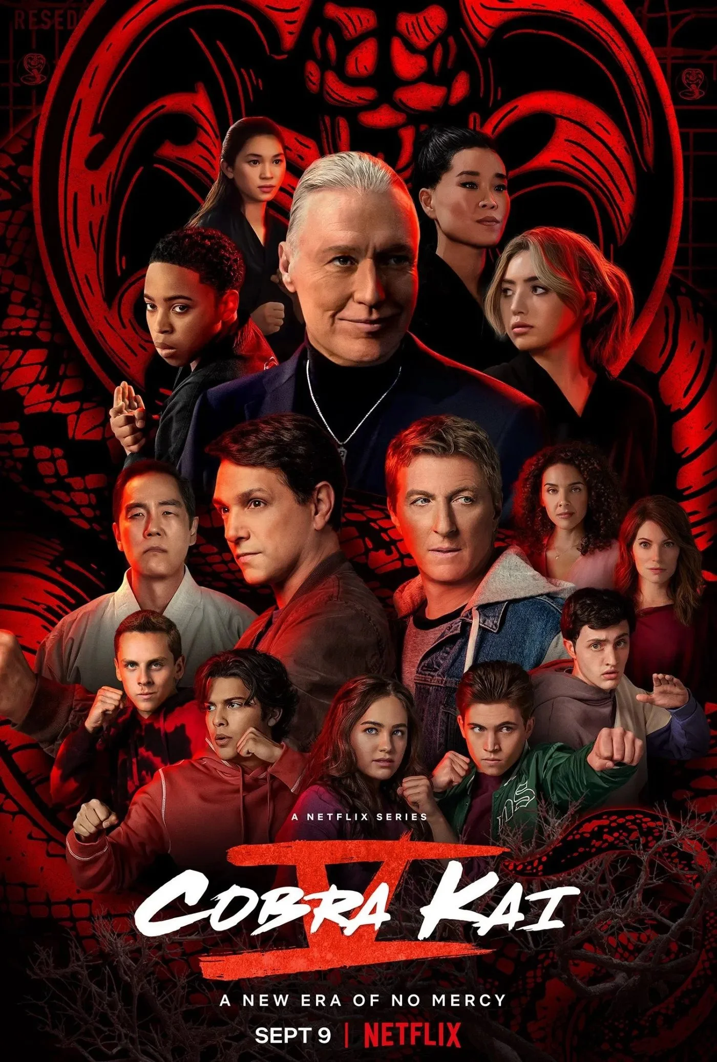 cobra-kai-5-poster-_1_.jpeg