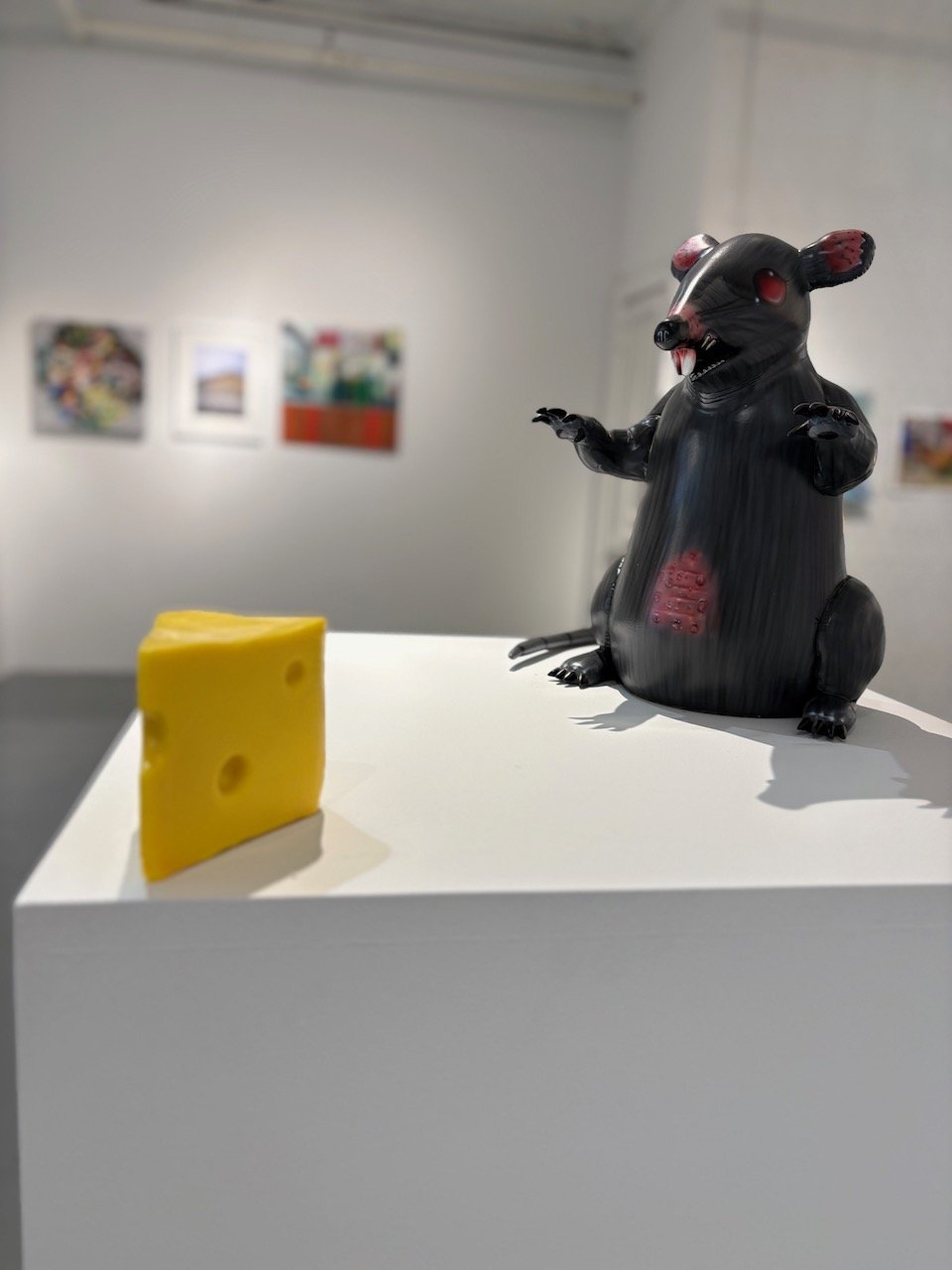 IMG_4071.jpeg
