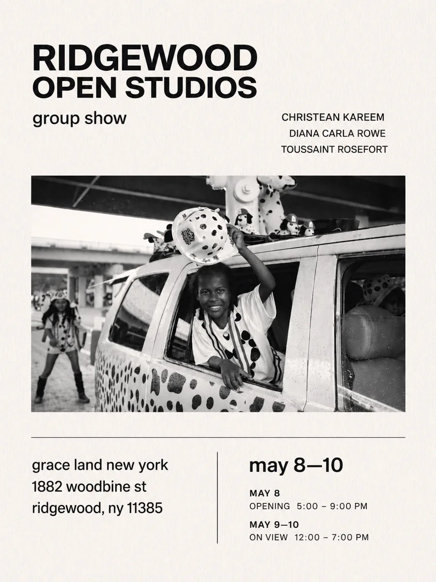 grace land new york group show