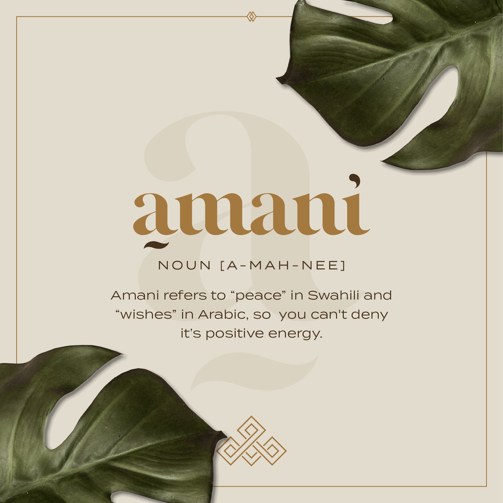 MarcCross-ResortBranding-Amani-12.jpg