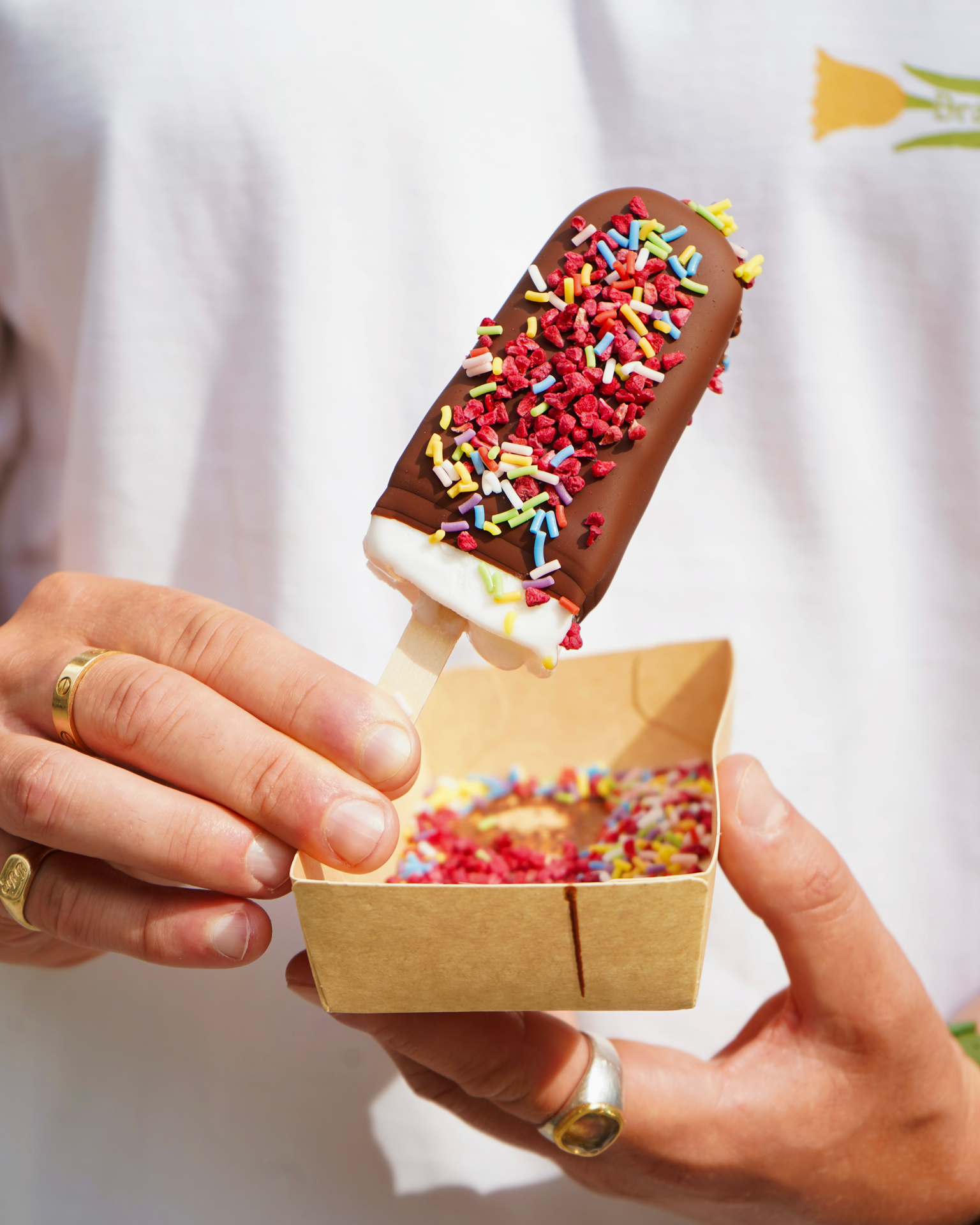 MarcCross-IceCreamShopBranding-Sticks&Cones-8.png
