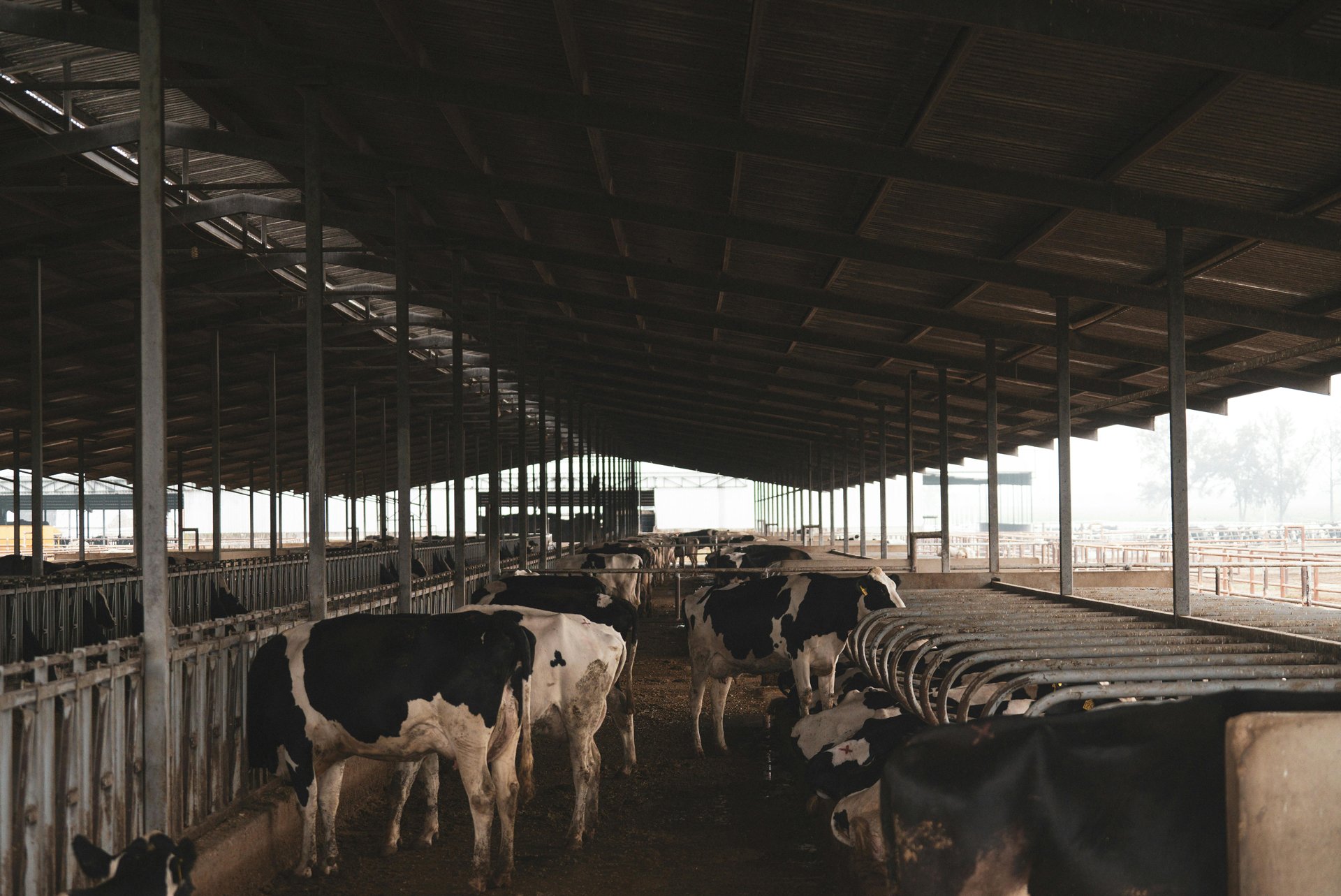 MarcCross-FoodBranding-Pantry&Pasture-9.png