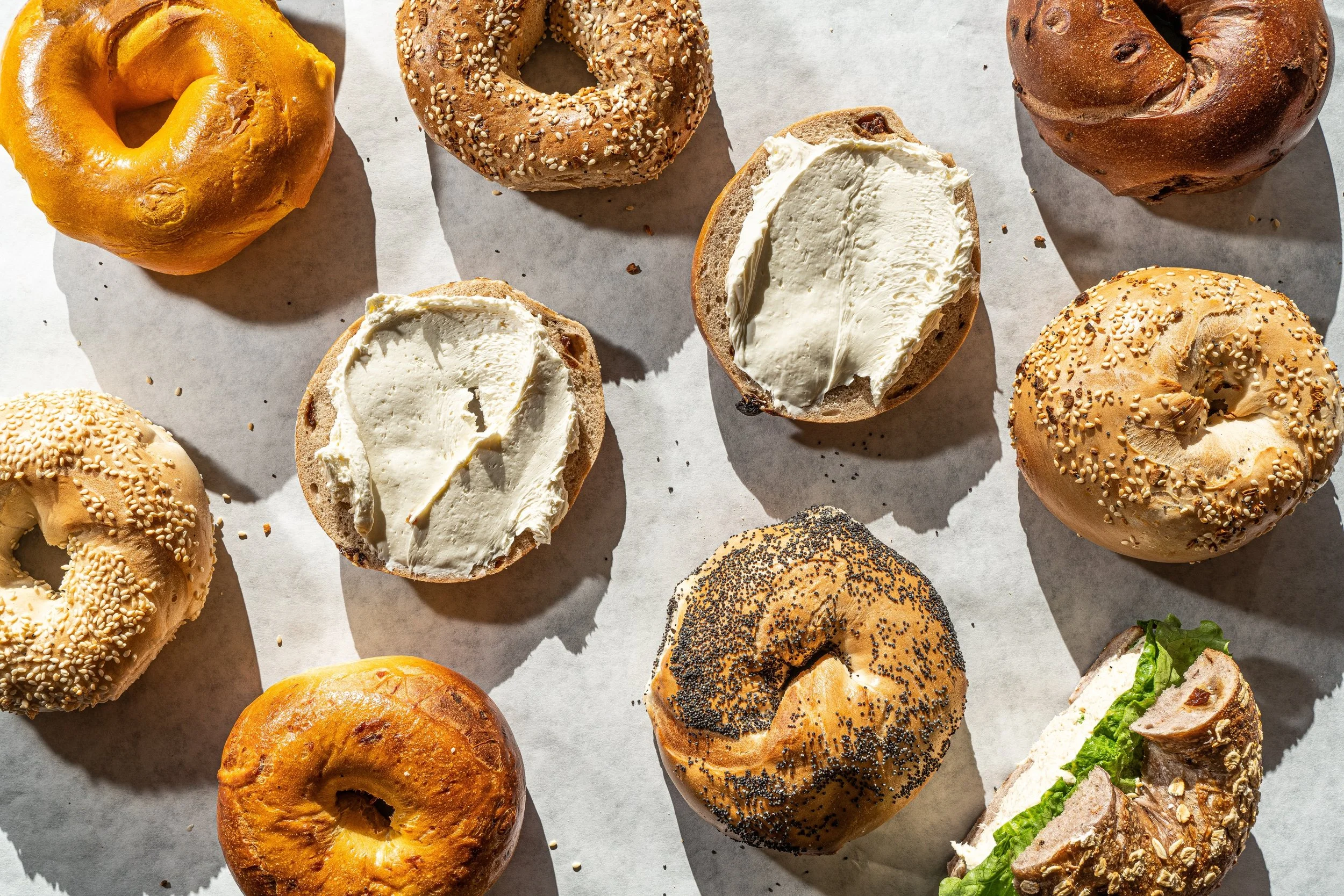 MarcCross-BagelMonster-3.jpeg