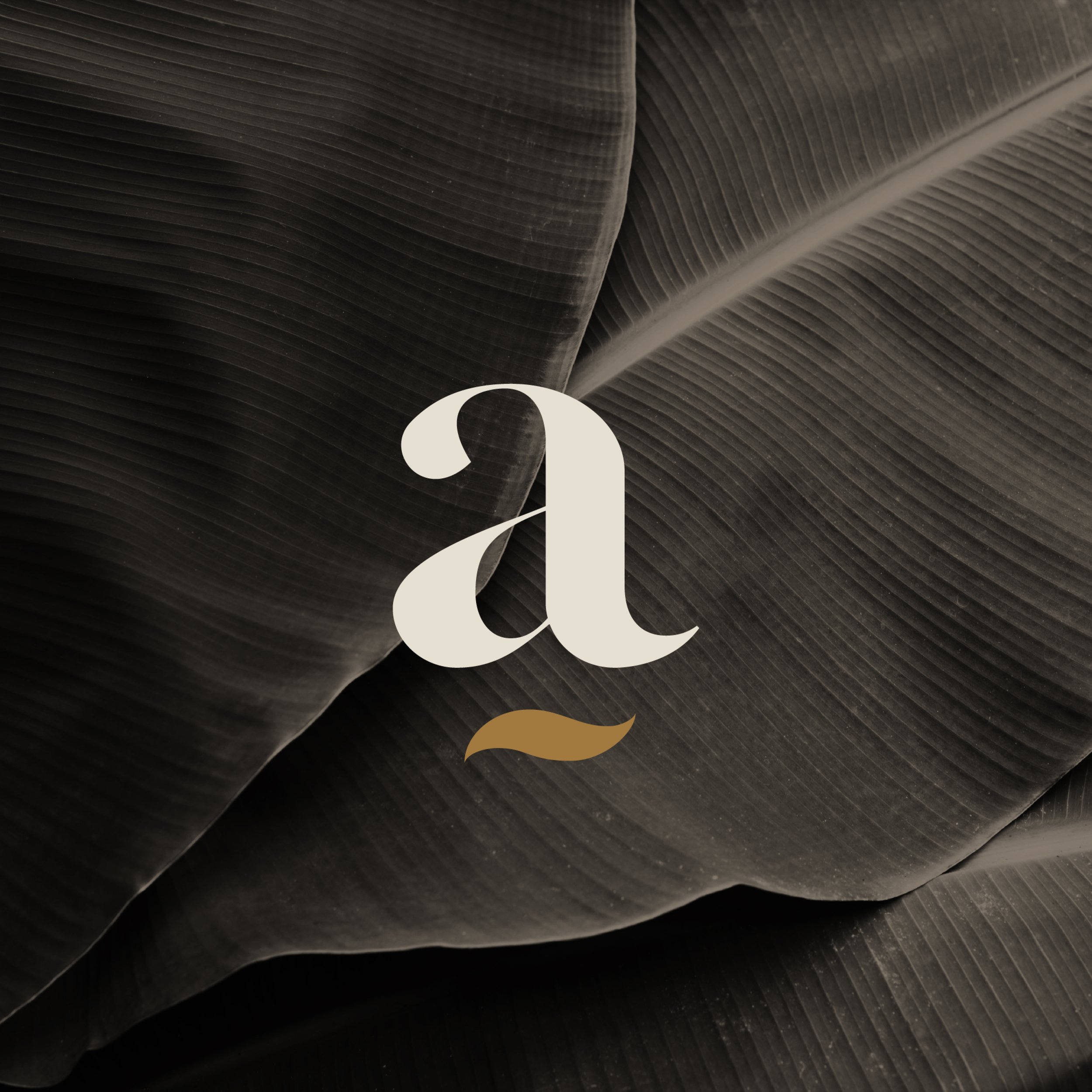 MarcCross-ResortBranding-Amani-19.jpg