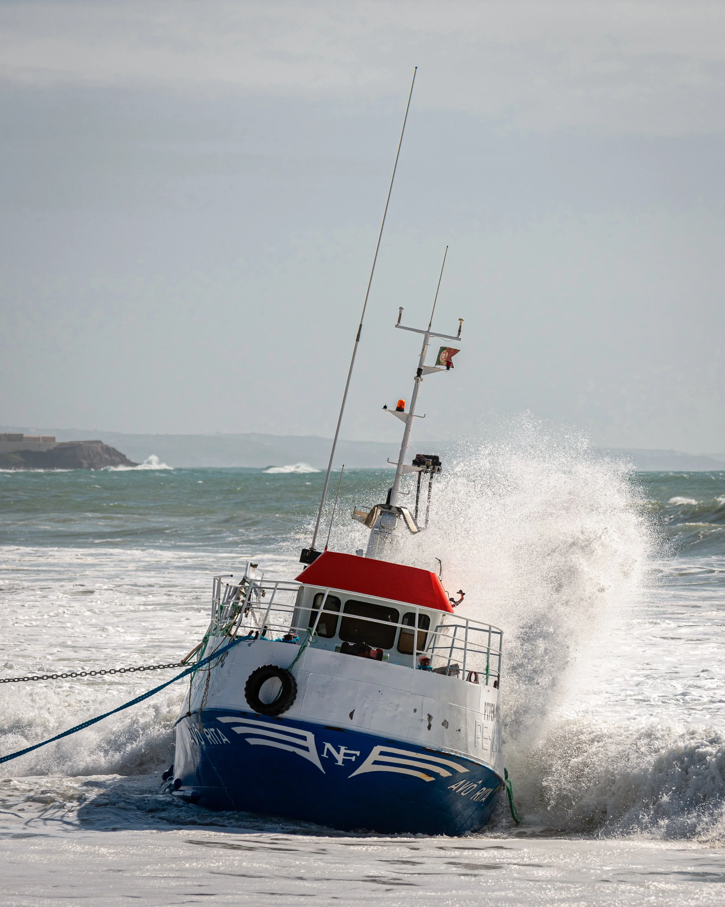 DSC_8977.jpg