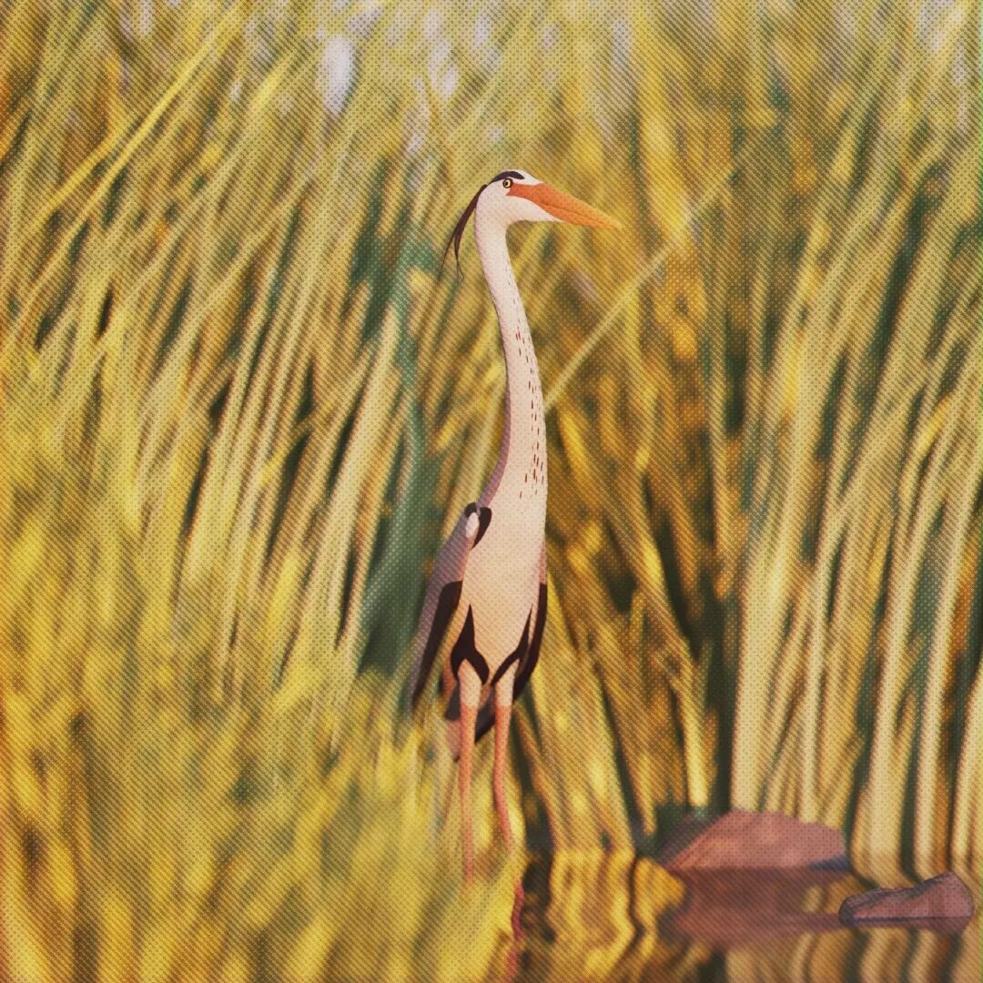 Another birb from the personal project - a grey heron. These birds can be found all over Europe, Asia and parts of Africa. Wherever they are, they bring stylish hair and a sassy stare. 
.
.

#3dart #3dmodelling #c4dart #redshift3d #birdlovers #birdar