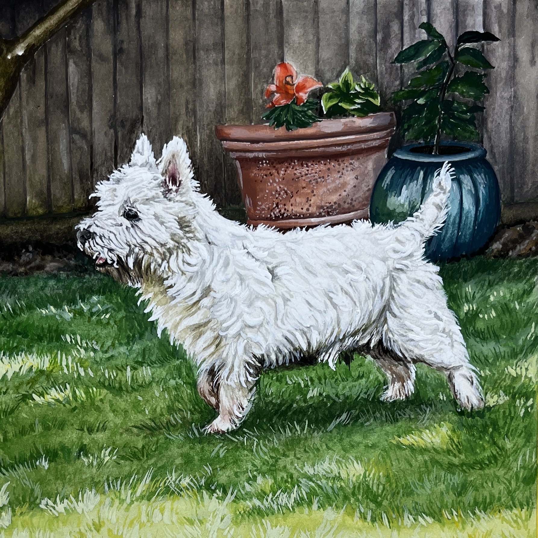 Hamish