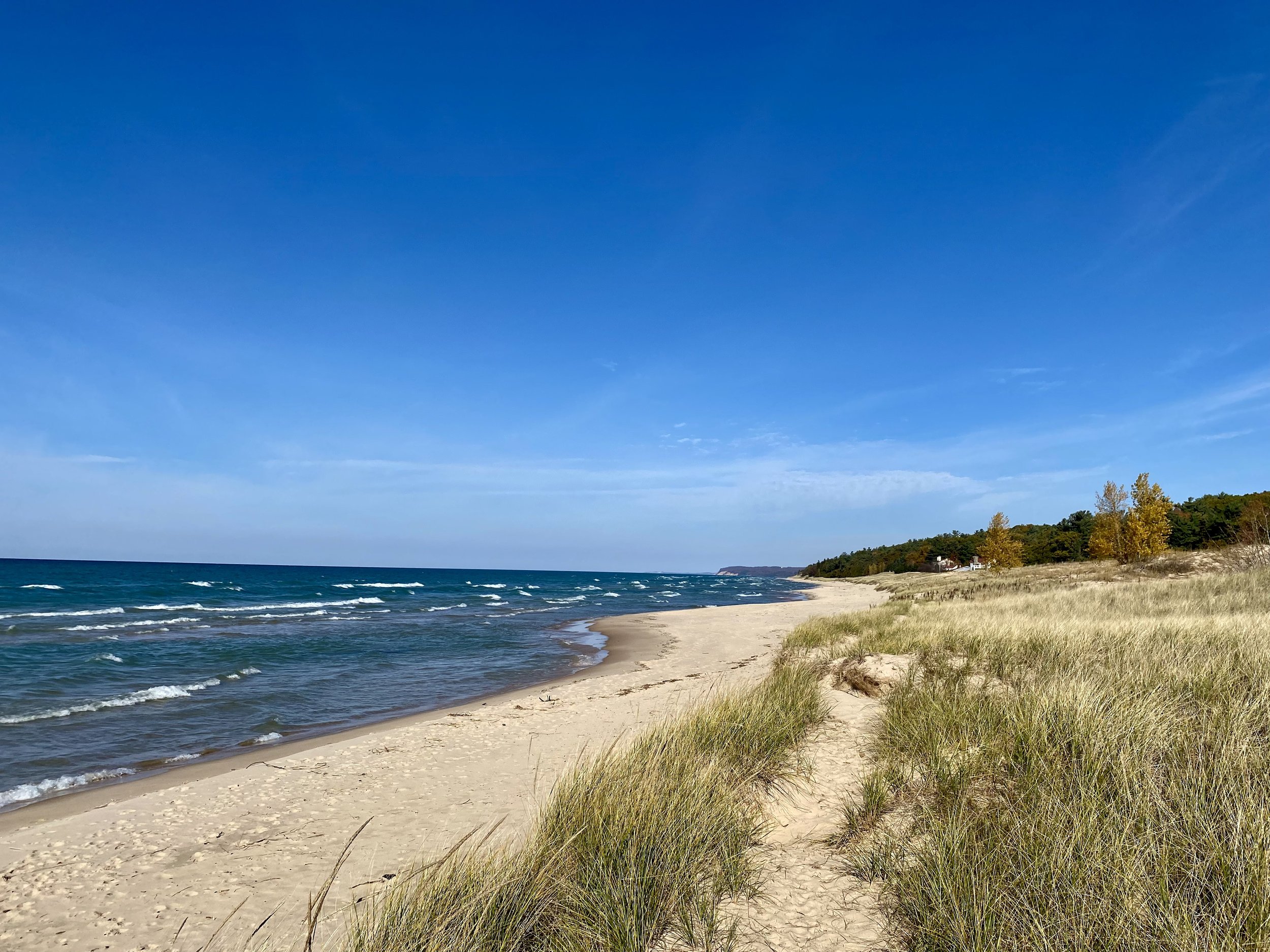 Offers — Canfield House