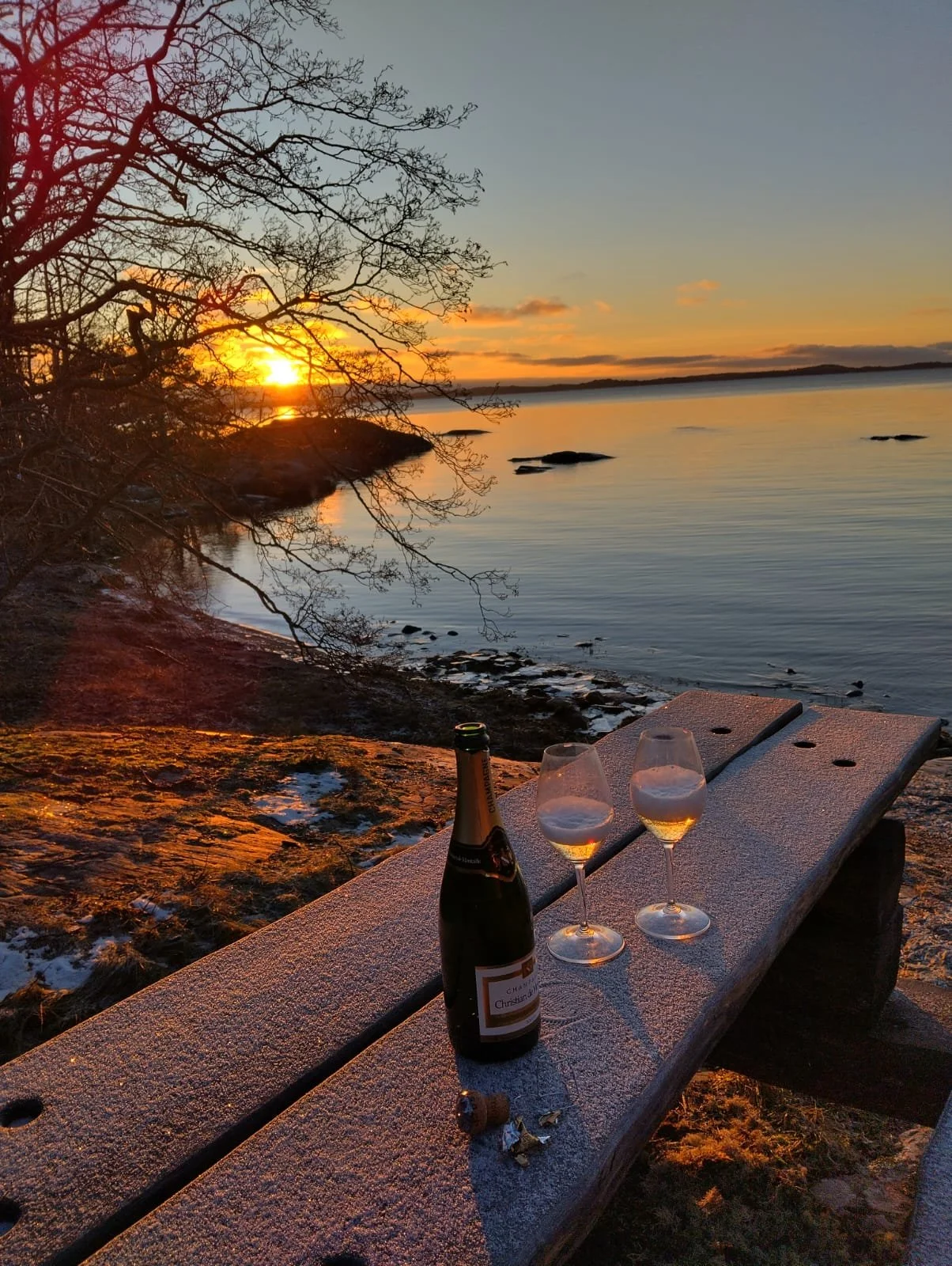 WhatsApp Image 2024-02-01 at 22.58.52.jpeg