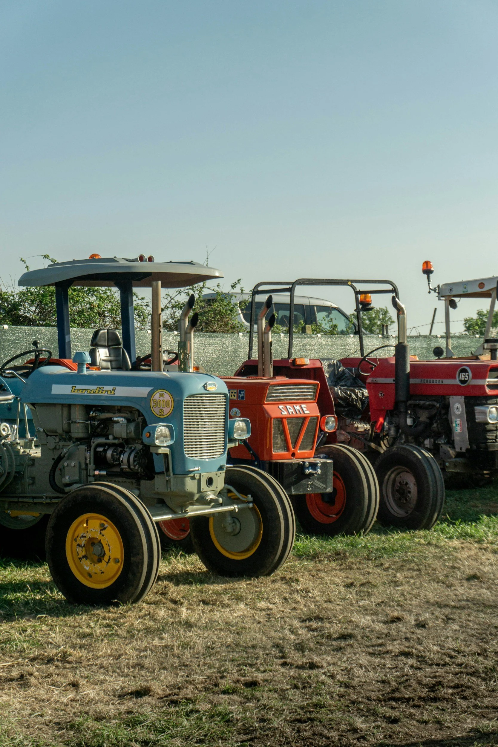 Image of classical tractors in yard