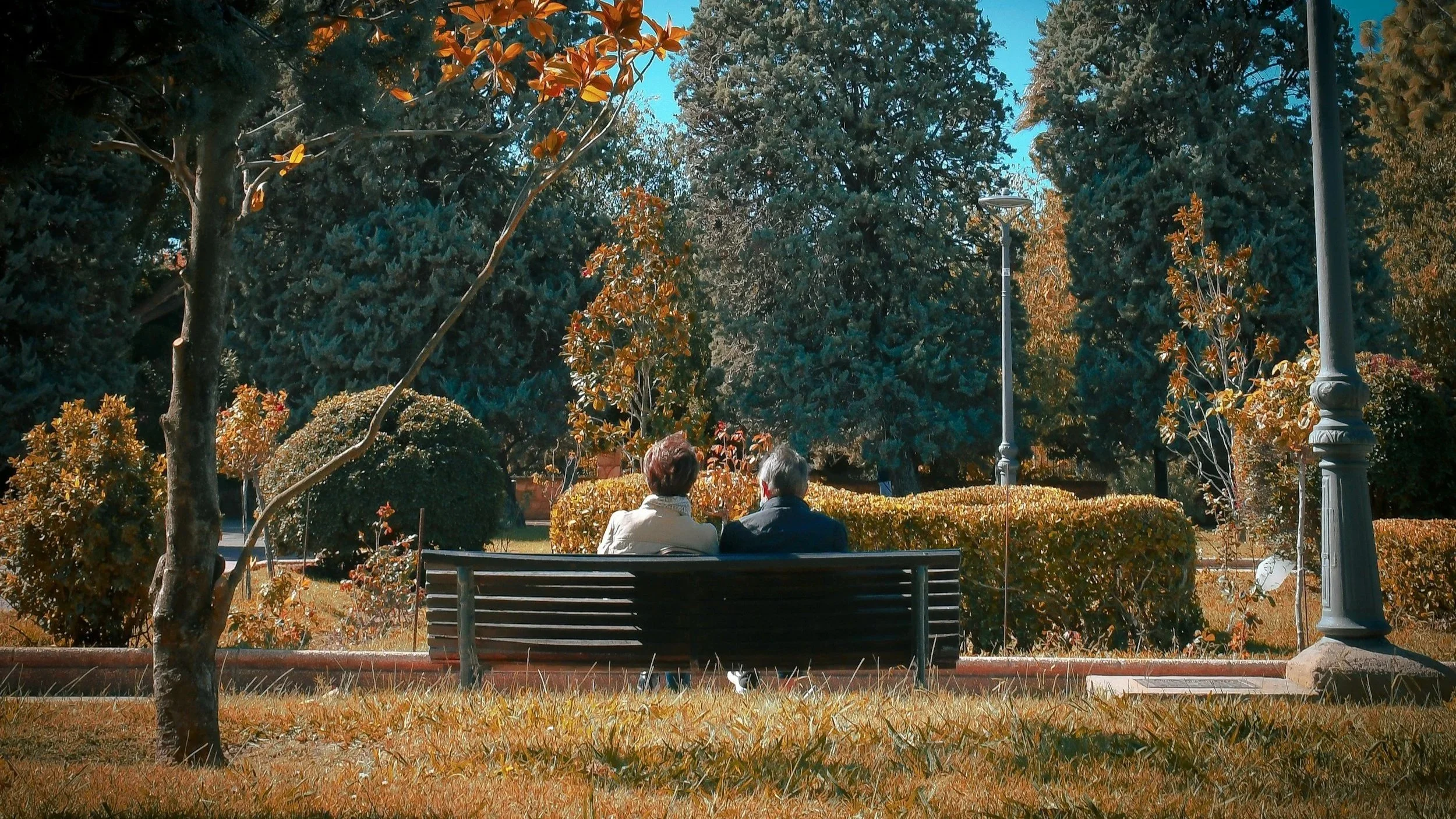 Image of an older couple on a bench