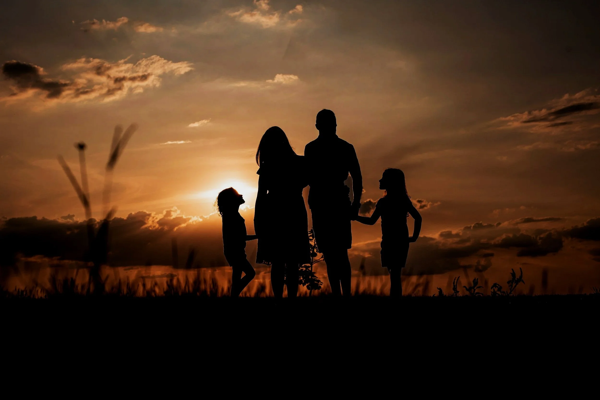 Image of family holding hands at sunset